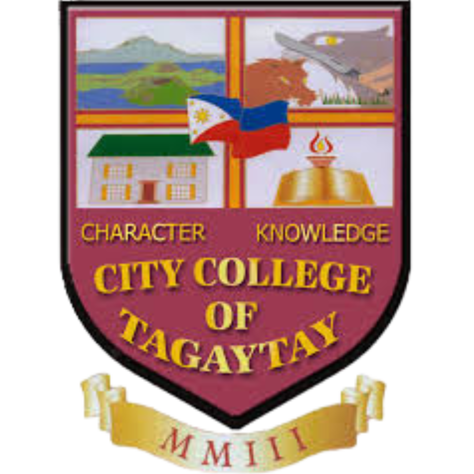 CCT Logo